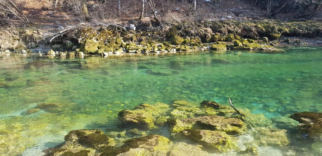 Ingreen House Bohinjska Bela Bagian luar foto