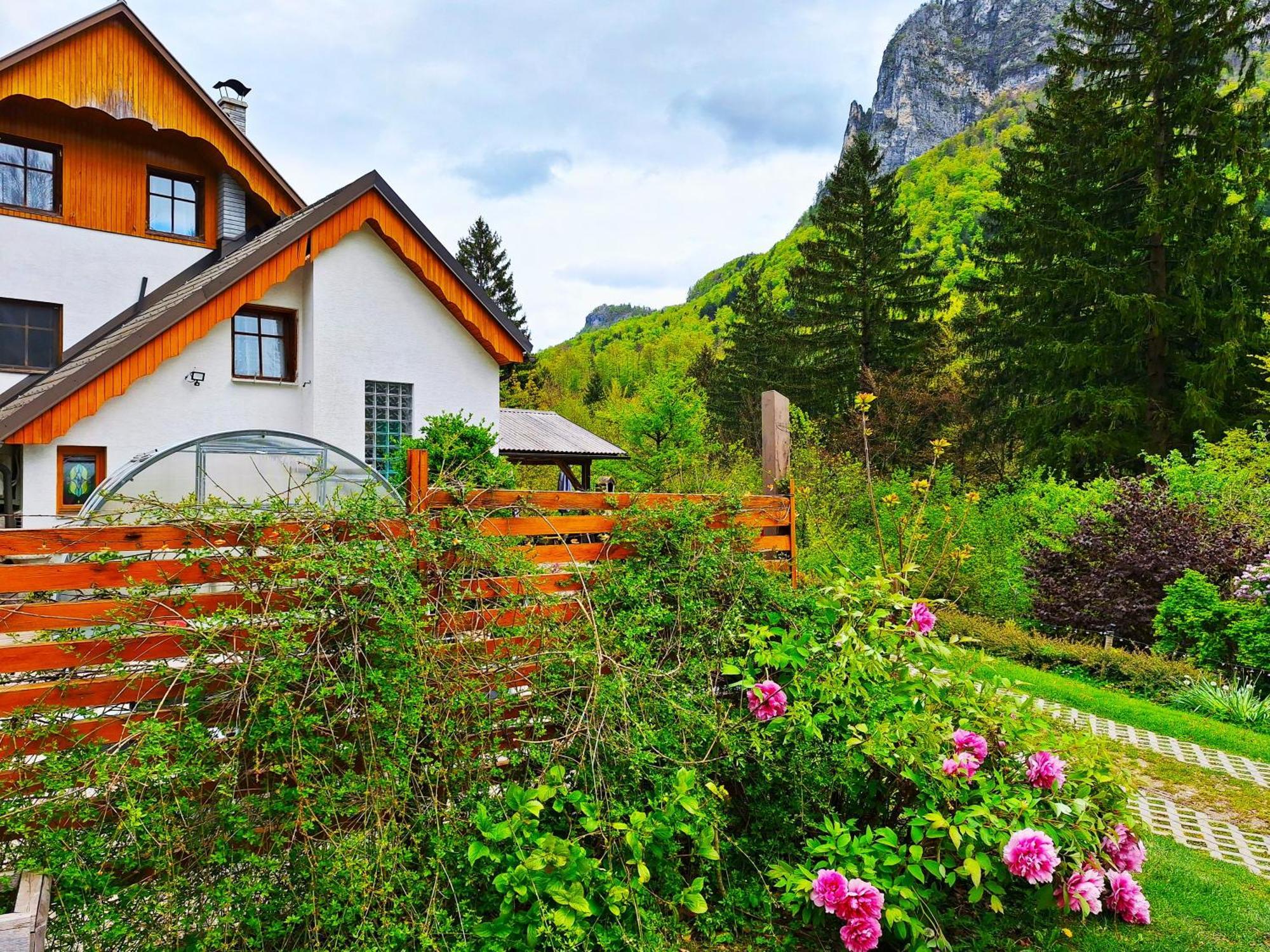 Ingreen House Bohinjska Bela Bagian luar foto